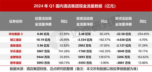 2024年一季度酒店集團(tuán)財(cái)務(wù)分析報(bào)告 信息服務(wù)業(yè)務(wù)成為增長新引擎